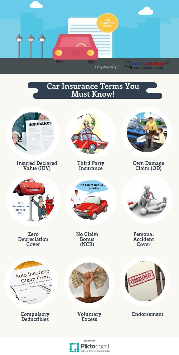 car-insurance-terms-you-must-know-piktochart-visual-editor