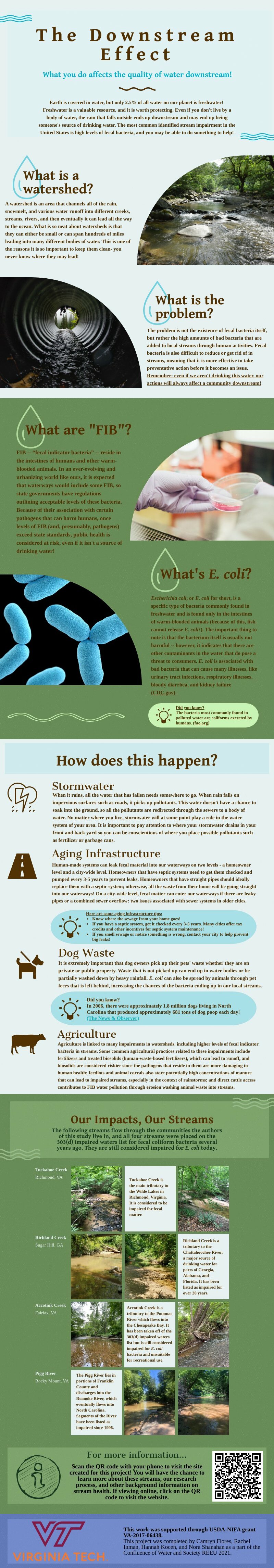 Downstream Effect The Downstream Effect - E. coli | Piktochart Visual Editor