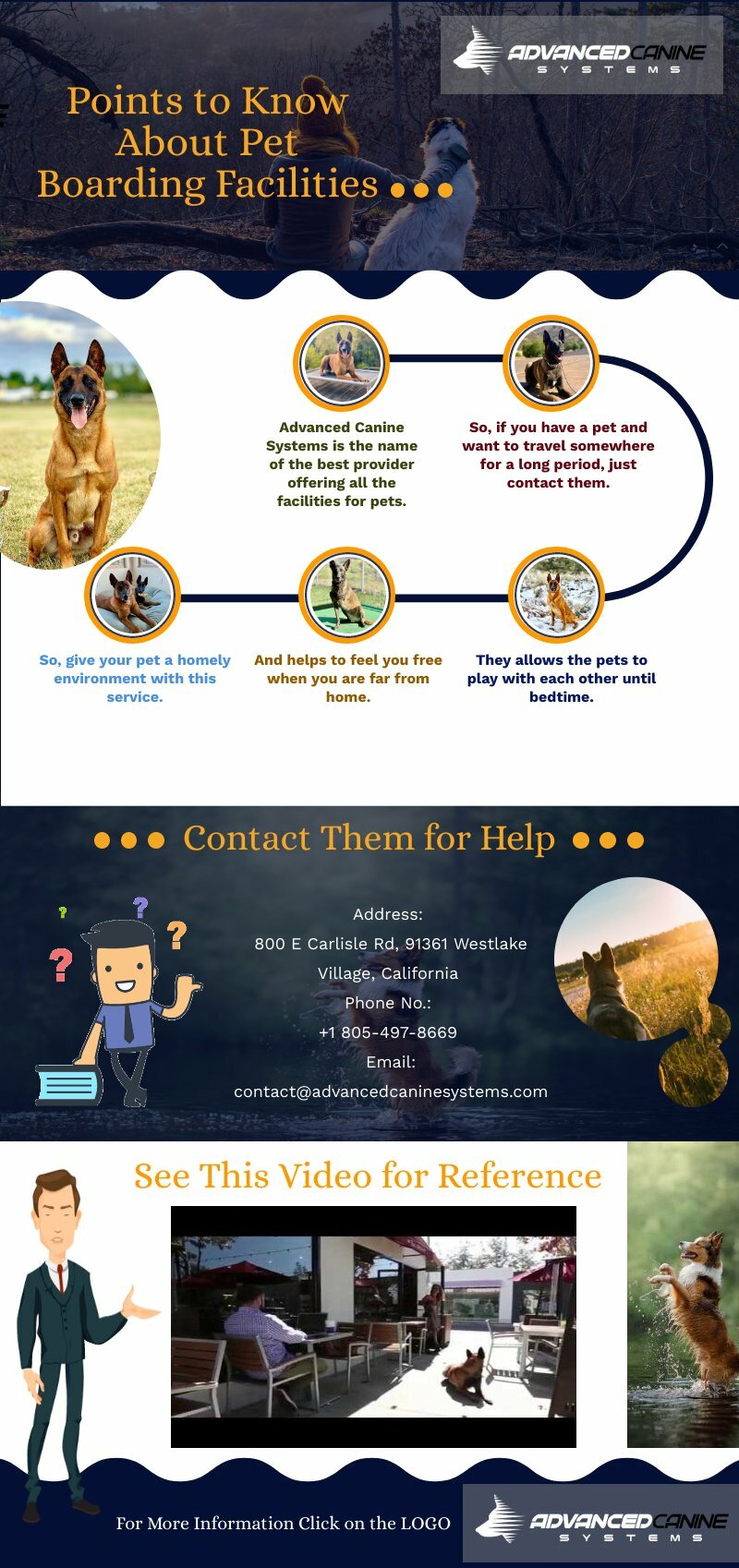 Points To Know About Pet Boarding Facilities | Piktochart Visual Editor