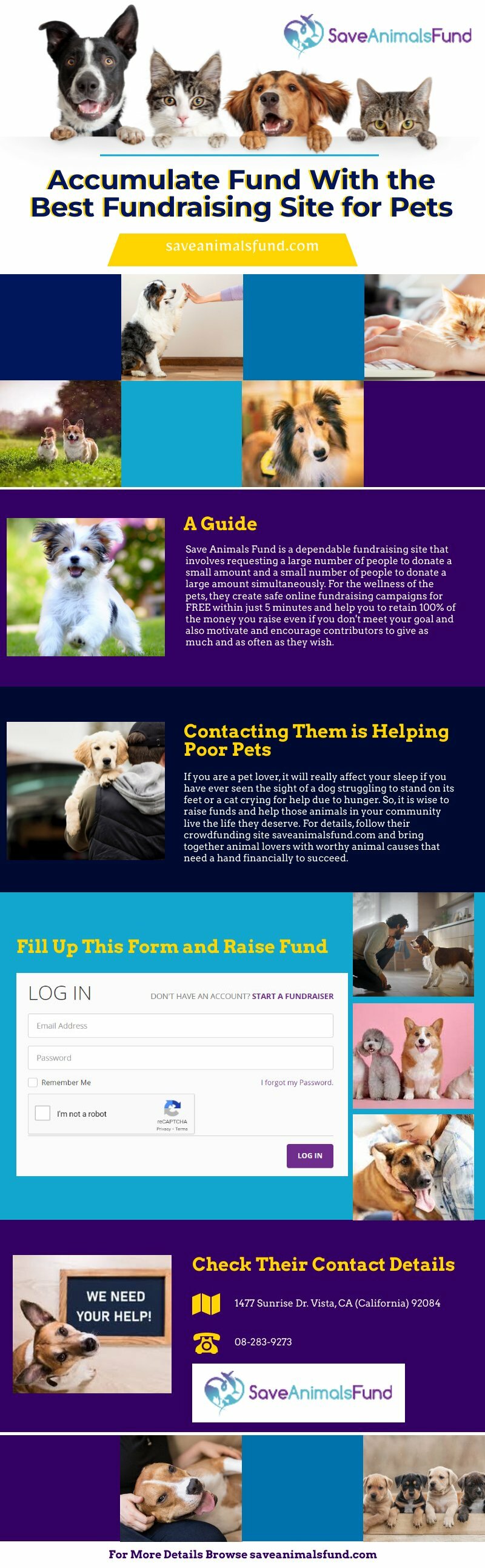 Accumulate Fund With the Best Fundraising Site for Pets Piktochart