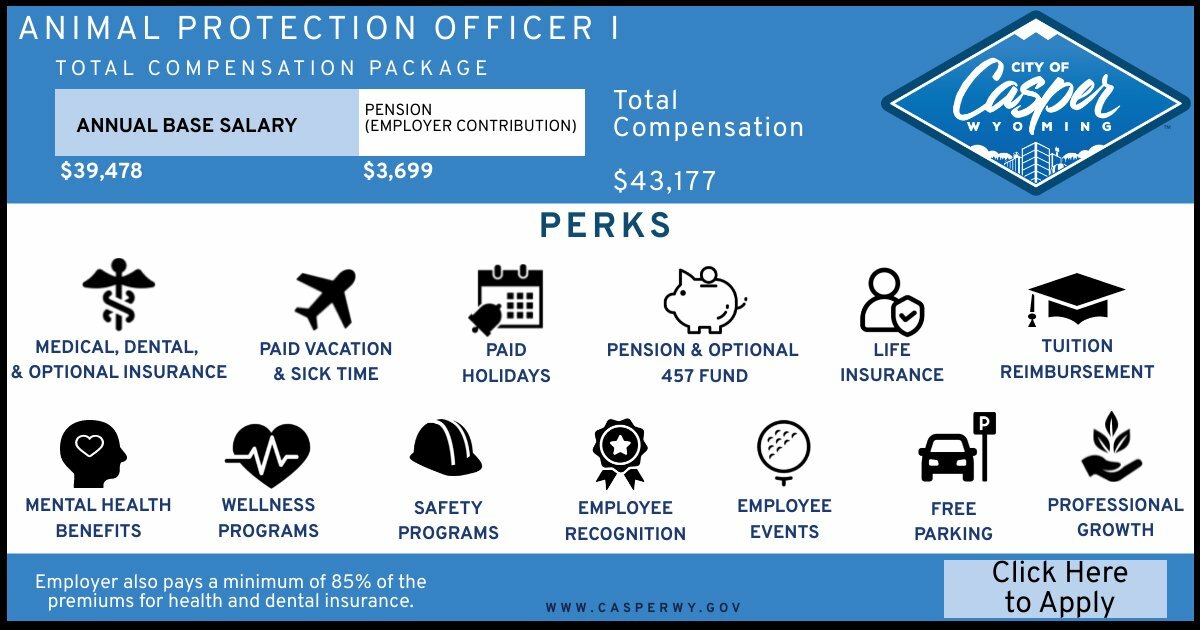 police-records-clerk-copy-piktochart-visual-editor