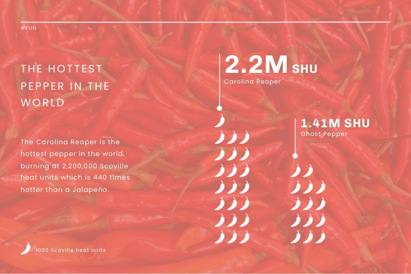 Spiciness Level