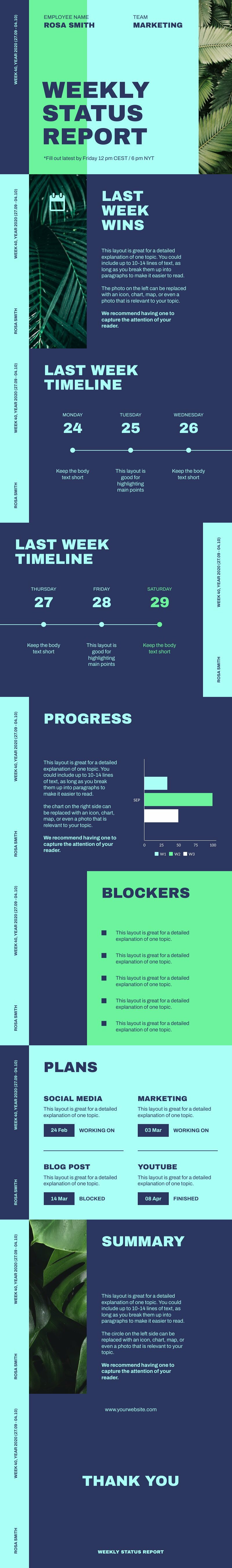 Weekly Project Status Report