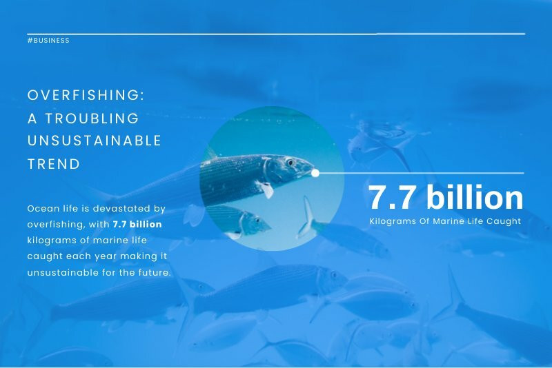 Overfishing Problem