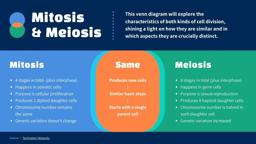 Mitosis and Meiosis Venn Diagram