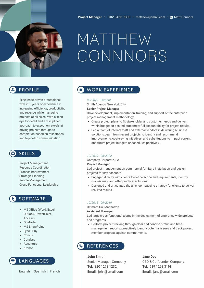 professional-resume-format-free-resume-template-piktochart