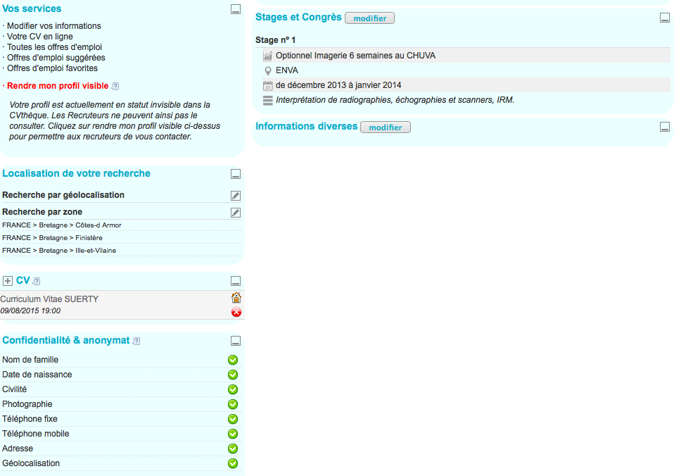 10 Astuces Pour Un Cv Efficace Sur Vetojob Piktochart Visual Editor