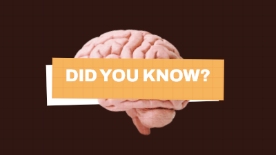 Educational Did You Know Fact Sheet video template preview